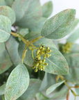 Colorer Eucalyptus Artificial Flora