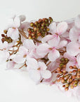 Colorer Noriutsugi Artificial Flora