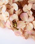 Colorer Noriutsugi Artificial Flora