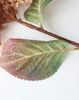 Colorer Noriutsugi Artificial Flora