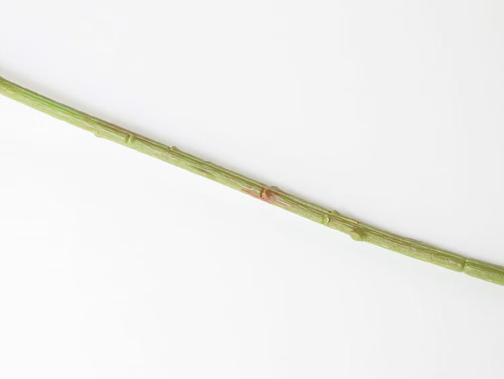 Colorer Sarusuberi Artificial Flora