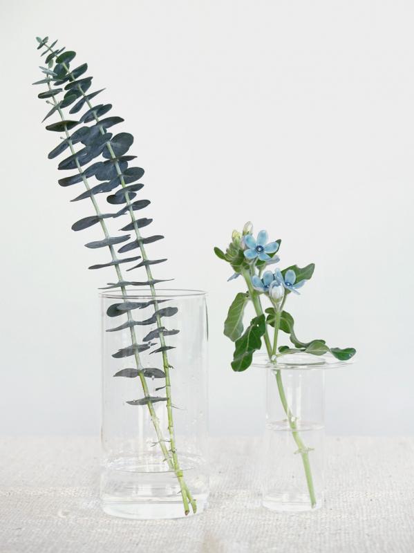 AXCIS,INC. | PINO Glass Vase