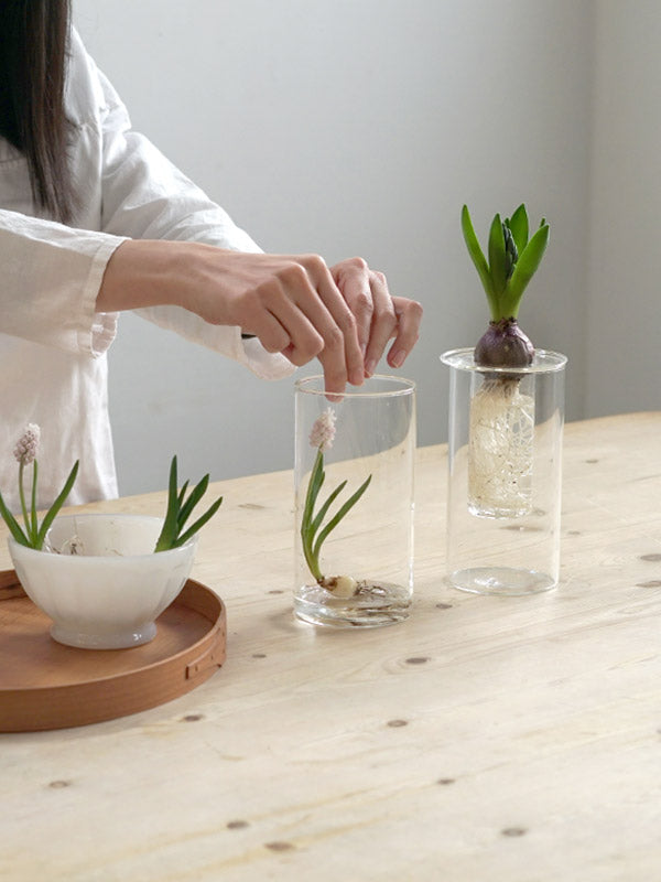 AXCIS,INC. | PINO Glass Vase