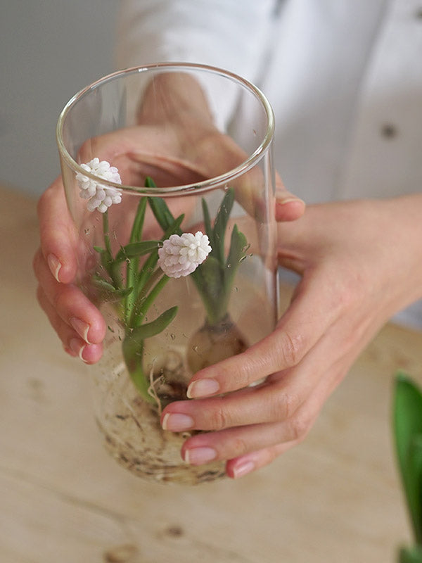 AXCIS,INC. | PINO Glass Vase