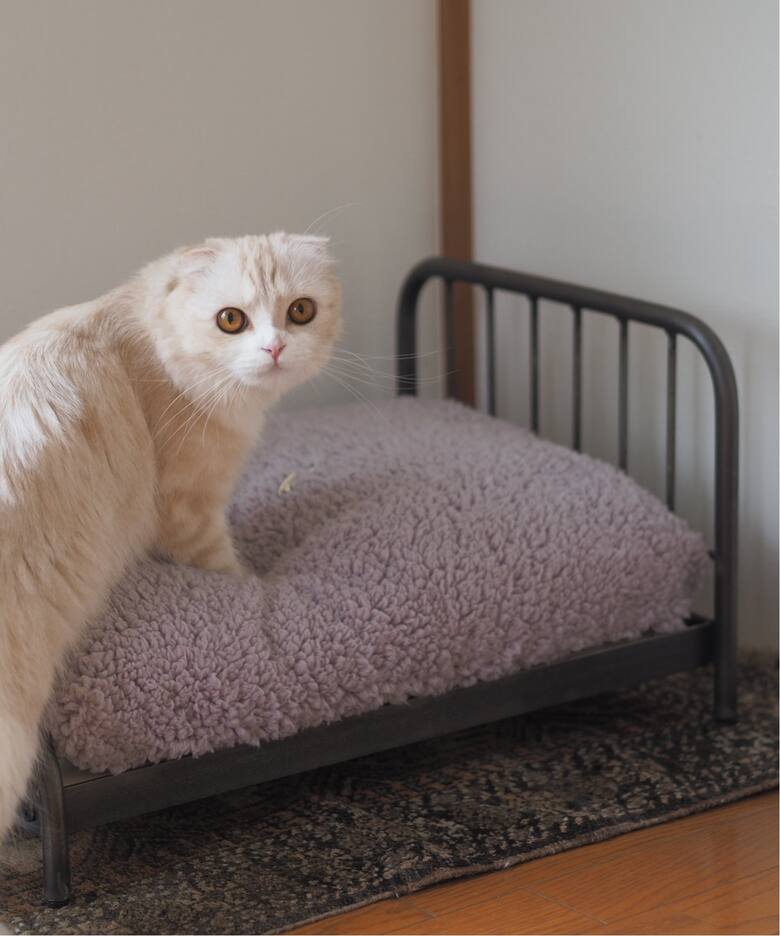 SENS BED FOR CAT ( PET SOFA )