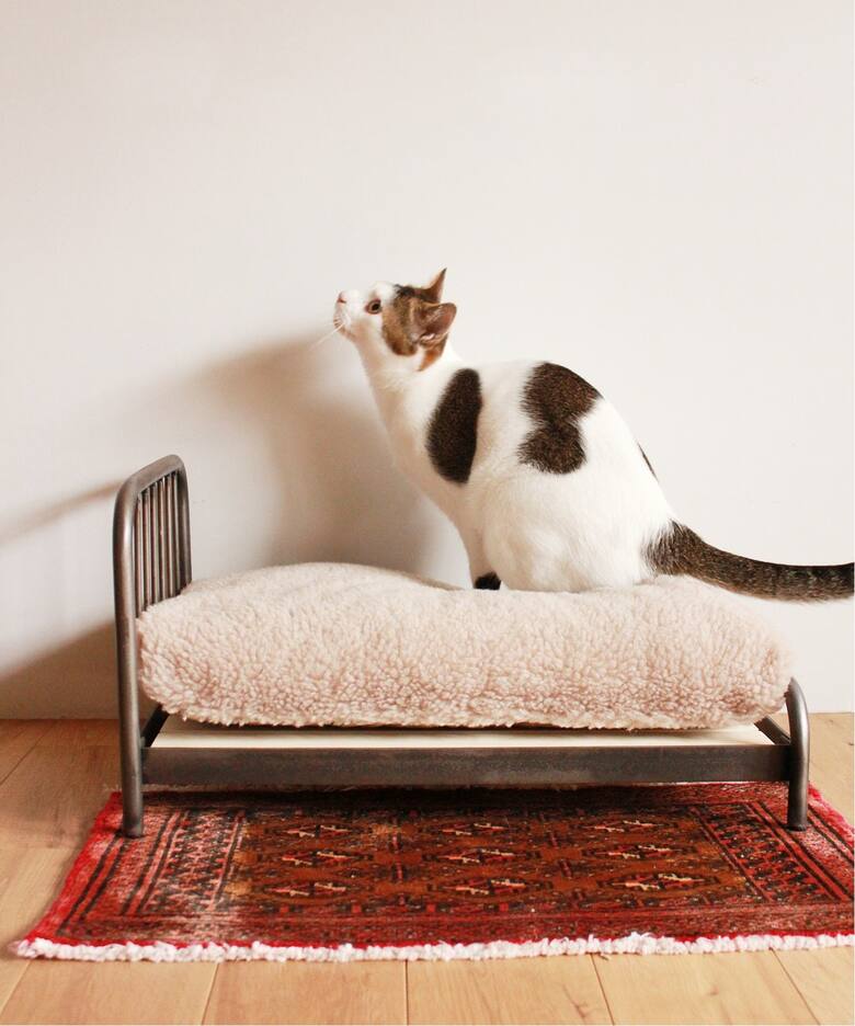 SENS BED FOR CAT ( PET SOFA )