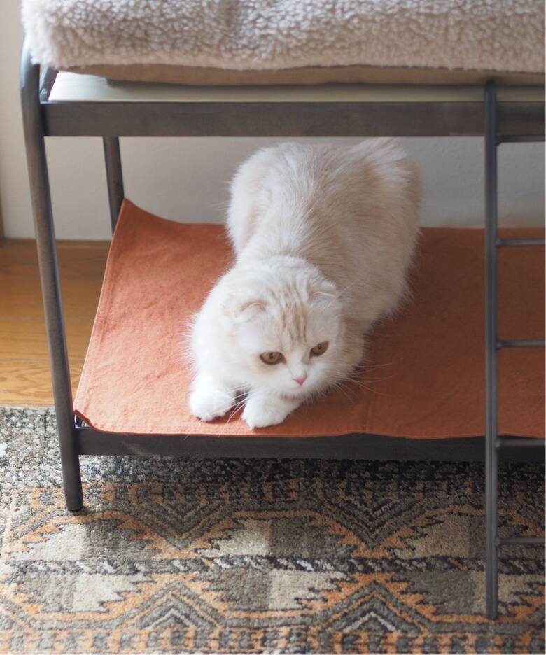 SENS BUNK BED FOR CAT ( PET SOFA )