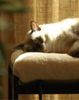 SENS BUNK BED FOR CAT ( PET SOFA )