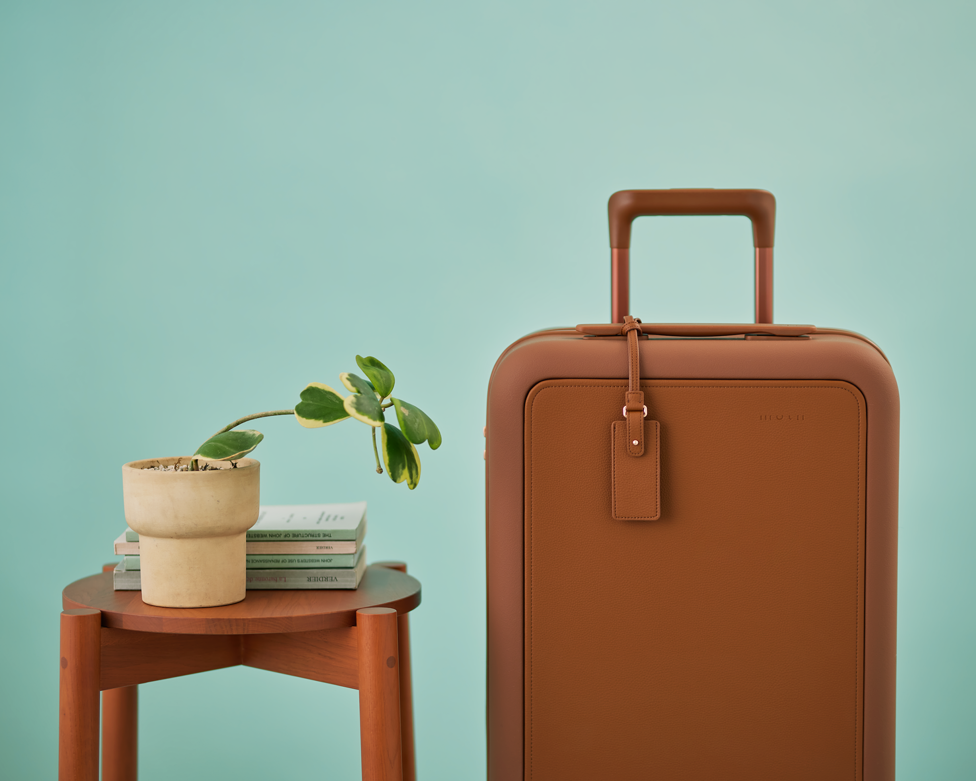 moln | Luggage Tag