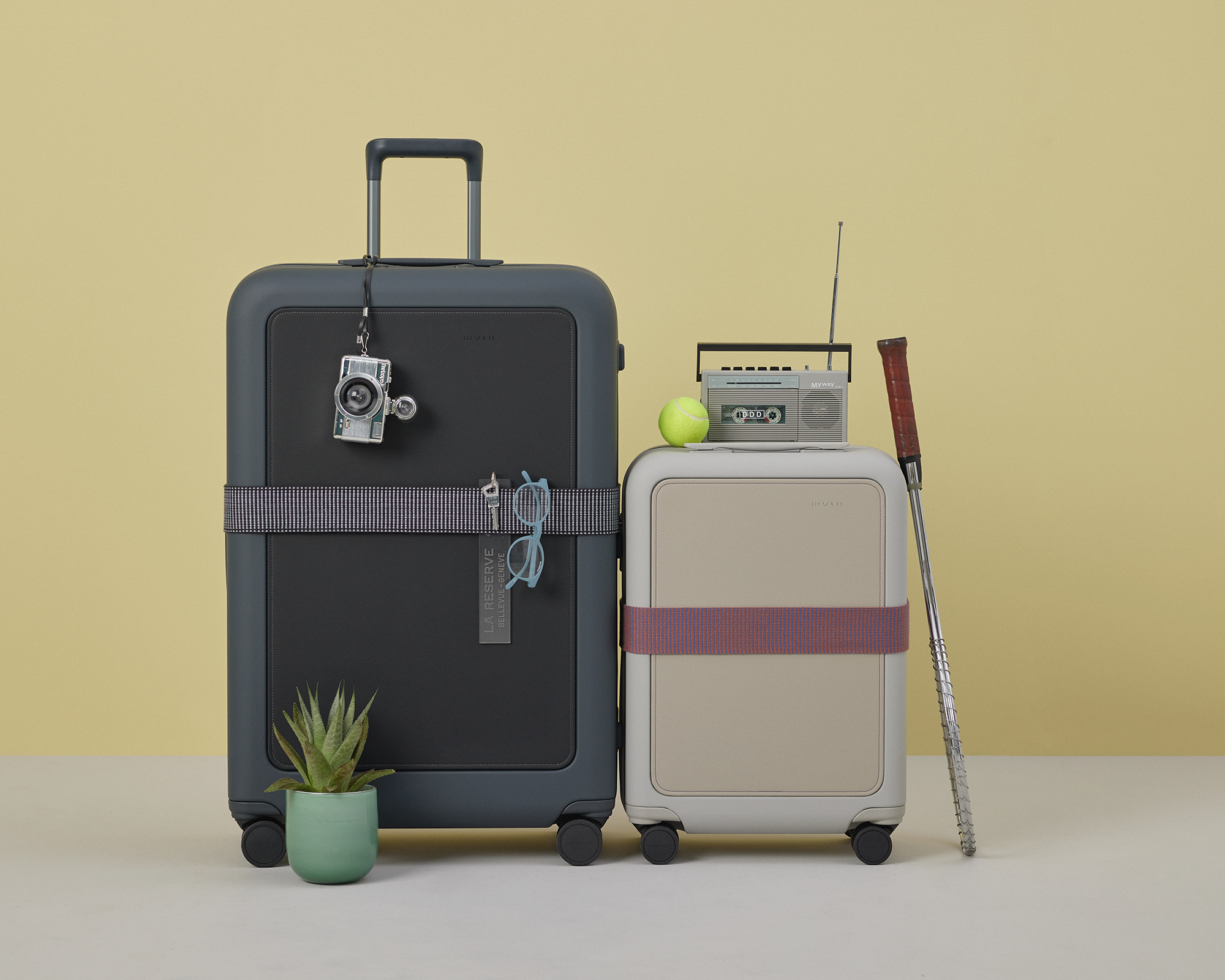 moln | Luggage Belt