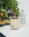 AXCIS,INC. | PINO Glass Planter