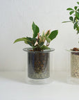AXCIS,INC. | PINO Glass Planter