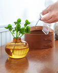 AXCIS,INC. | Glass Incense Vase - Lua