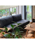 WHISKY OAK SOFA 3P